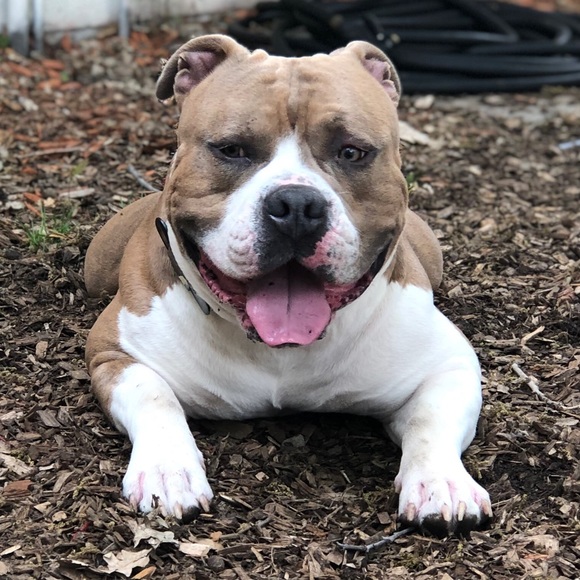 Meet your Posher, Michelle - Picture 7 of 8